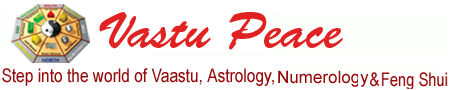 Vaastu Astrology Palmistry Fengshui Consultant Logo